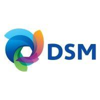 dsm austria gmbh (former erber group)