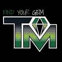 the talent mine logo image