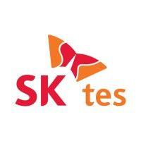 sk tes logo image