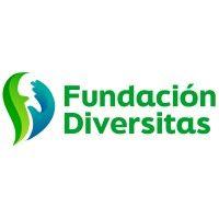 fundación diversitas logo image