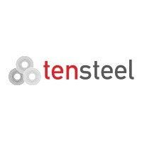 tensteel logo image