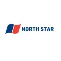 north star logo image