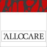 allocare ag logo image