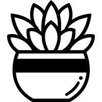 succulent studios logo image