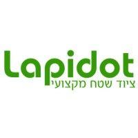 lapidot outdoor equipment - israel