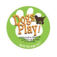 dogs play daycare logo image