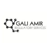 gali amir logo image