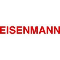 eisenmann inc. logo image