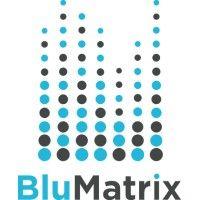 blumatrix logo image