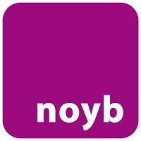 noyb.eu logo image