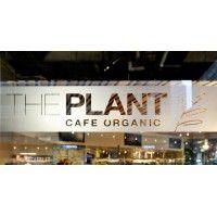 the plant cafe organic logo image