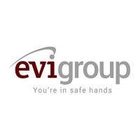 evi.group logo image