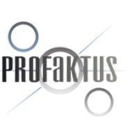 profaktus consulting