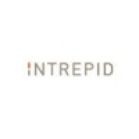 intrepid consultants logo image