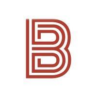 baretzky and partners llc logo image