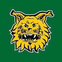 tampereen ilves | ilves hockey logo image