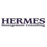 hermes management consulting logo image