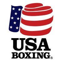 usa boxing, inc. logo image