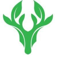 stag securities logo image