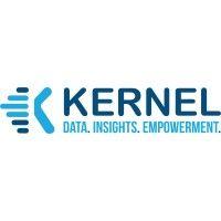 kernel solutions inc logo image