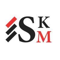 accounting, payroll & consulting company skm