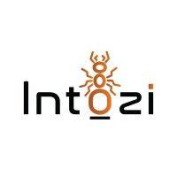 intozi logo image