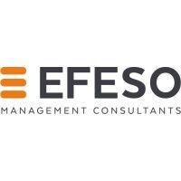 efeso management consultants logo image