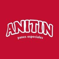 anitin logo image