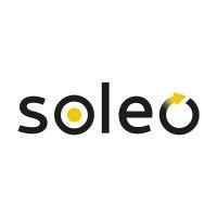 soleo groep logo image