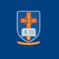 st. patrick's academy dungannon logo image