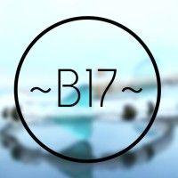 b17 accessories logo image