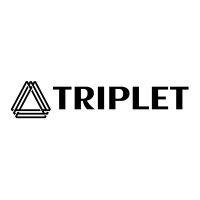 triplet fund logo image