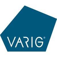 varig logo image