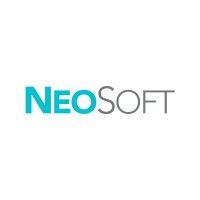 neosoft, llc logo image