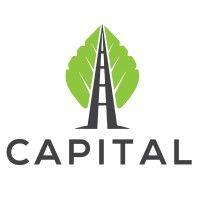 capital consulting solutions logo image