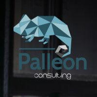 palleon - desarrollo comercial logo image