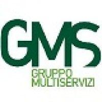 gruppo multiservizi logo image