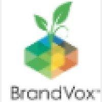 brandvox logo image