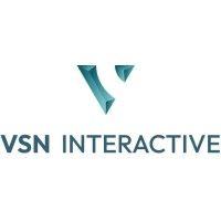 vsn interactive logo image