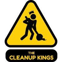 cleanup kings llc logo image