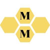 metro metrics llc logo image