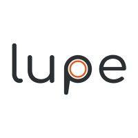 lupe consulting logo image