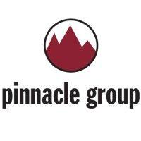 pinnacle group logo image