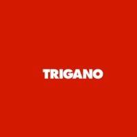 trigano spa logo image