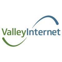 valley internet logo image