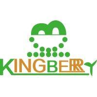 kingberry co.,ltd logo image