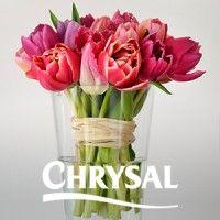 chrysal international bv logo image