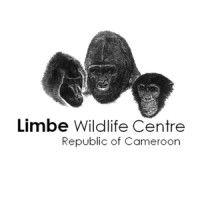 pandrillus cameroon - limbe wildlife centre logo image