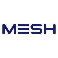 mesh logo image