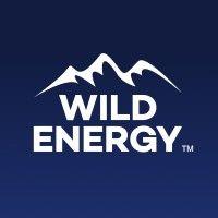 wild energy logo image